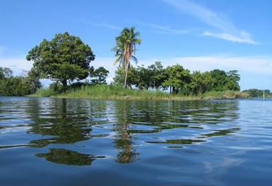 Nikaragvos ryklių ežeras