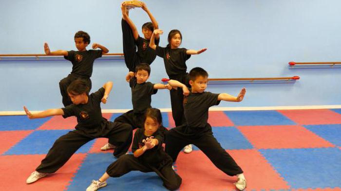Čigongo mokykla ir Kung Fu Shaolin meistrai Shi Yanbin: aprašymas, funkcijos ir apžvalgos
