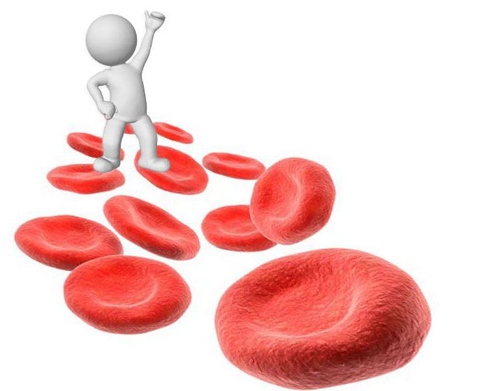 Koks turėtų būti hemoglobinas vyrams? Hemoglobino norma vyrams pagal amžių