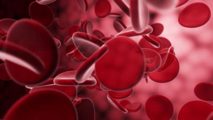 Padidėjusi raudonųjų kraujo kūnelių ir leukocitų koncentracija šlapime: priežastys